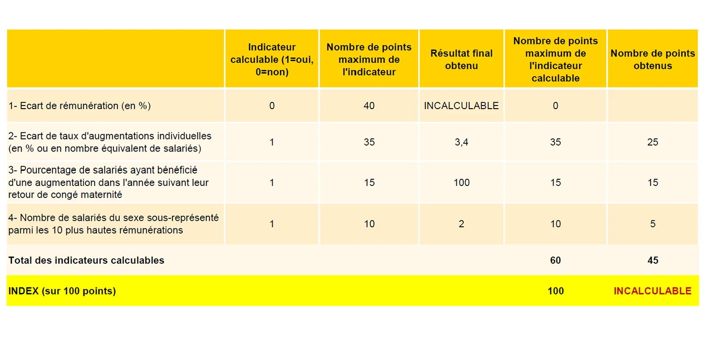 index egalité femmes hommes semco